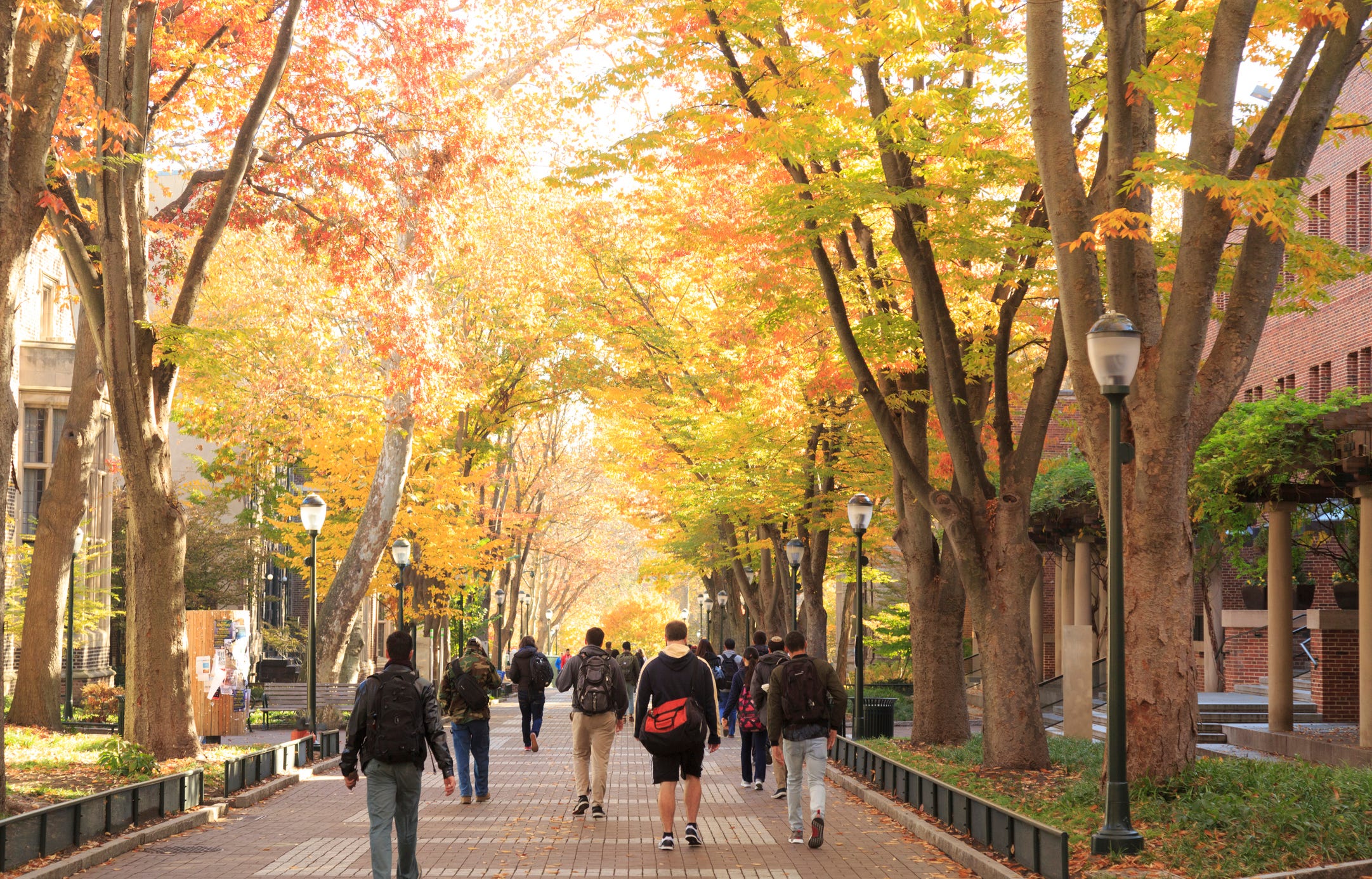 Students on college campus