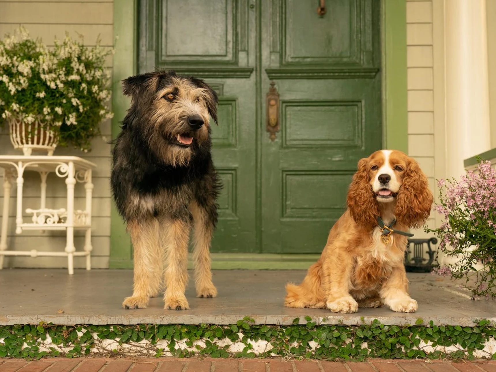 a still from the 2019 live-action adaptation of lady and the tramp