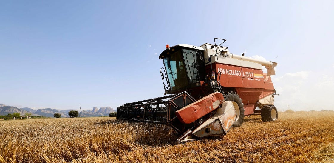 Image of tractor rolling across wheat field to sow crops