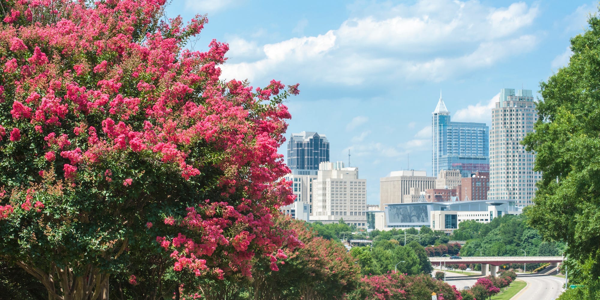 raleigh north carolina