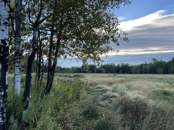 A view of a sanctuary 